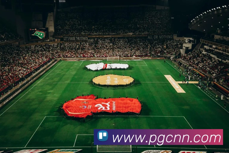 pgAPP 封面图